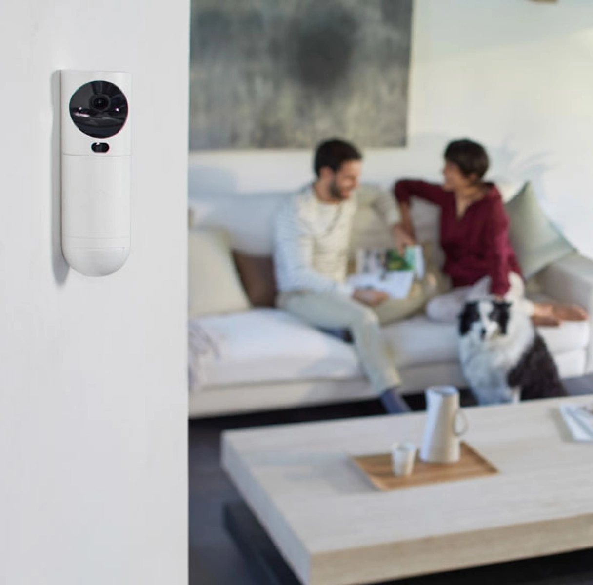 Fotodetector alarma en españa