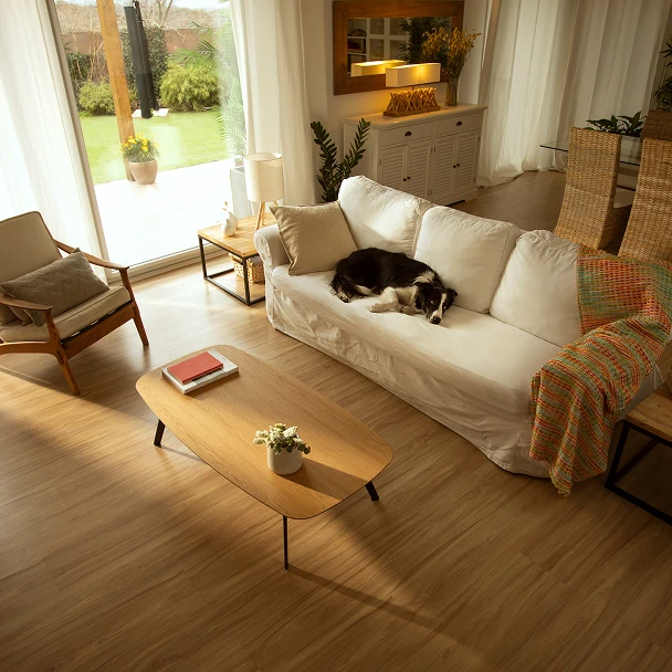 Alarmas para mascotas